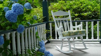 Classic Bigleaf Hydrangeas Add Old-Fashioned Charm to a Garden