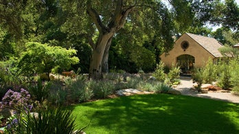 3 steps to enhancing your garden with native plants