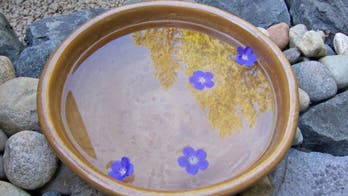 How to bring visions of serenity to your garden