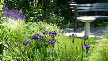 How to transform your small garden into a wonderful wildlife haven
