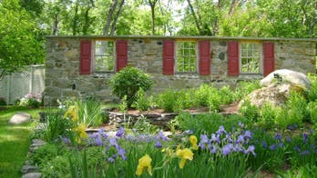 8 ways to add year-round color to your garden