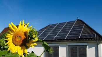 How to Go Green: The Ultimate Homeowner's Guide to an Eco-Friendly Pad