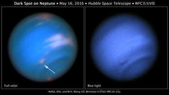 On blue Neptune, Hubble sees a dark vortex