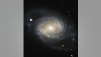 Hubble space telescope captures stunning image of barred spiral galaxy