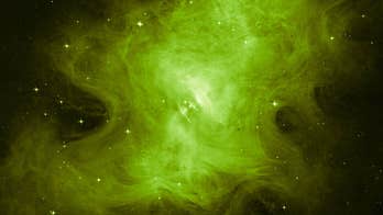 Science gets spooky on Halloween: 7 ghostly tweets