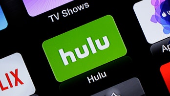 Hulu blasted for upcoming 1619 Project adaptation: 'The pinnacle of ethno-narcissism'