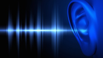 Hear this: Scientists regrow sound-sensing cells