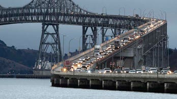 One hummingbird nest halts massive renovation of California bridge