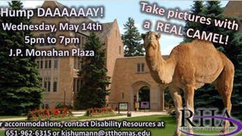 ‘Hump Day’ event cancelled after students claim bringing a camel to campus was racist