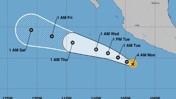Hurricane Hilary likely to become 'major hurricane' in Pacific