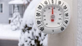 Wireless wonders: Best home and garden gadgets