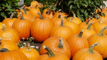 Pumpkins are for gratitude: One family's secret for using the fall season for giving thanks