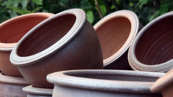 Add curb appeal with year round planters