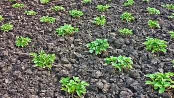 DIY Resolutions: Four projects you should tackle this year