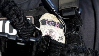 Immigration lawyer trying to reunite mother, child claims ICE agent shoved her