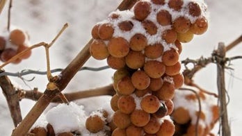 What the heck is ice wine, anyway?