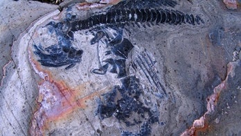 Ancient 'fish lizard' graveyard discovered beneath melting glacier