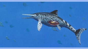 150-million-year-old 'sea monster' unearthed in India