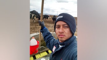 Lawsuit: Mexican veterinarians hired by Idaho farm forced to work as laborers