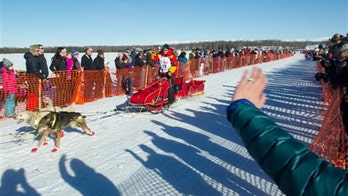 After deadly crash, competitors press toward Iditarod finish line