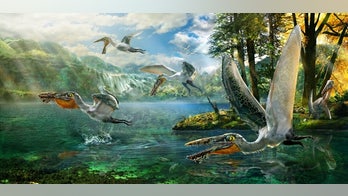 Ancient 'dragon' beast flew right out of 'Avatar'