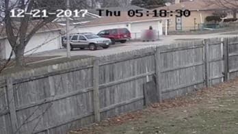 Dramatic video of girl being kidnapped off Illinois street released by FBI