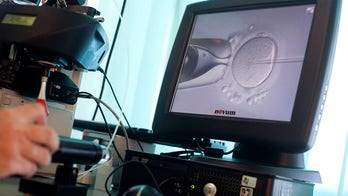 Judge allows woman to undergo in vitro fertilization with dead husband's sperm