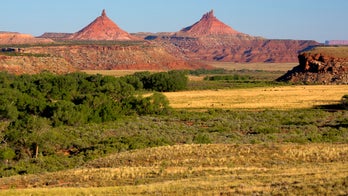 Trump plan on Utah monuments draws 5,000 protesters