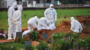 Rare virus kills more than a dozen in India, health officials warn it could cause global epidemic