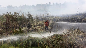 Indonesia rejects US research estimate of 100K 'haze' deaths