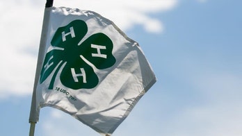 4-H official fired after proposing LGBTQ inclusion policy, report says