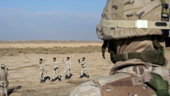 US commander: Mosul and Raqqa should be retaken in 6 months