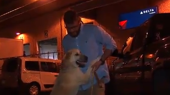 Iraq veteran and puppy reunited in US after months apart