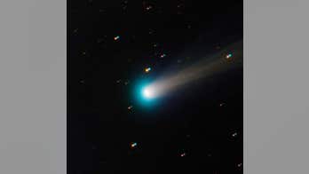 An observer's guide to Comet ISON's Thanksgiving sun encounter