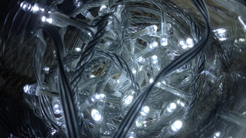 Instagram influencer angers followers with in-flight photo accessory