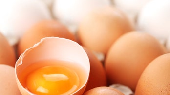 Belgian biscuit maker recalls products amid contaminated eggs scare