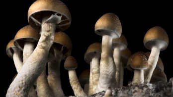 'Magic mushrooms' might ease depression symptoms