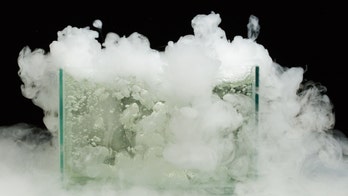 Woman likely died after inhaling dry ice fumes from ice cream coolers: police