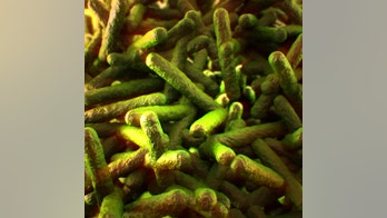 36 people die in food-related disease outbreak in South Africa