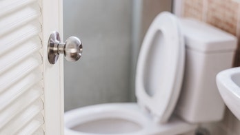 What really happens when you flush with the toilet seat up