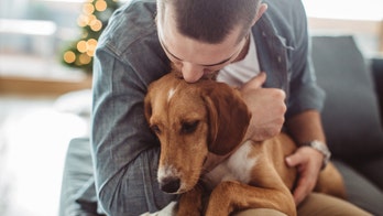 Humans love dogs more than other people, study suggests
