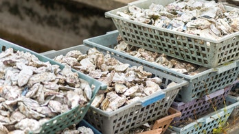 Deepwater Horizon settlement offers once-in-a-lifetime opportunity to save our oyster reefs