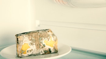How bad is it to eat cheese with mold on it?