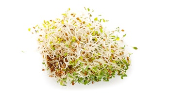 Multistate outbreaks of salmonella, E.coli linked to alfalfa sprouts