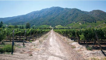 Best wine buys of the Southern Hemisphere