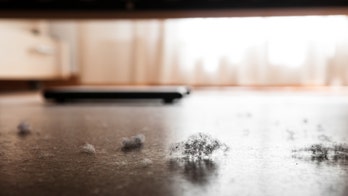 Toxins at home? Dust may harbor harmful chemicals