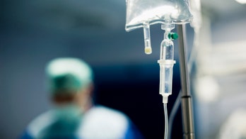 Alcohol drip saves cat from near-fatal brake fluid poisoning