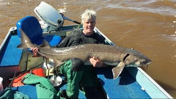 Fisherman catches record-breaking lake sturgeon in Minnesota