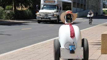 This cute robot wears a tie and can learn human behavior