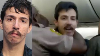 American Airlines passenger shocked with Taser, forcibly removed from plane after getting into fight